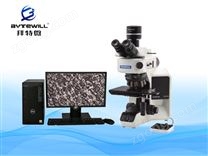 奧林巴斯顯微鏡BX3M系列