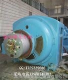 WSZK*YR系列繞線轉(zhuǎn)子異步電動機(jī)軟啟動器