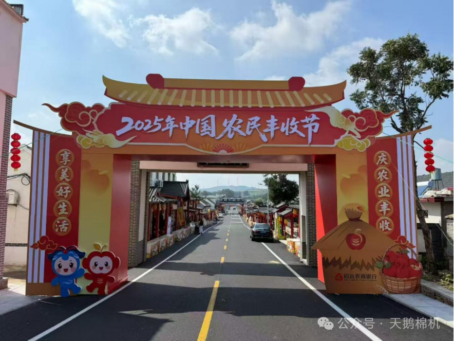 丰收节里看“丰景”，天鹅高端农机绘就秋收新画卷