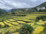 福建省农业农村厅调研组深入将乐察看丘陵山区农业机械化和农机装备发展情况